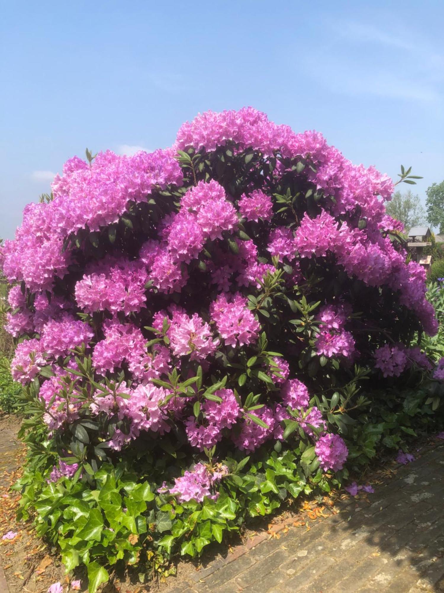 Laaker Villa Nearby Outlet Roermond Ohe en Laak ภายนอก รูปภาพ